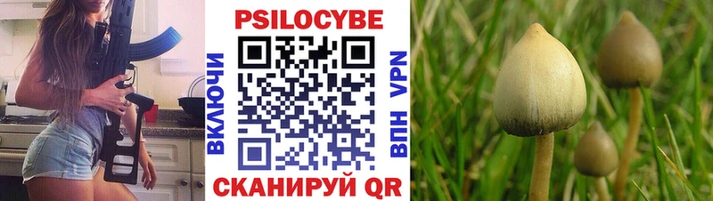 Псилоцибиновые грибы мухоморы hydra Полтавская